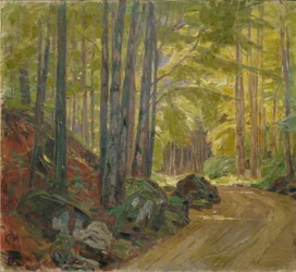 Waldstraße bei Schärfling